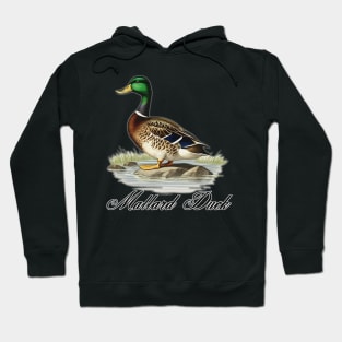 a duck standing on a rock Hoodie